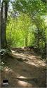 Dateiname=Saengeliweiher_54.jpg
Dateigröße=83KB
Abmessungen: 320x600
hinzugefügt am: 13. September 2015 Saengeliweiher_54.jpg