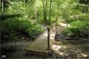 Dateiname=Saengeliweiher_57.jpg
Dateigröße=214KB
Abmessungen: 902x600
hinzugefügt am: 13. September 2015 Saengeliweiher_57.jpg