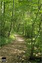 Dateiname=Saengeliweiher_58.jpg
Dateigröße=109KB
Abmessungen: 399x600
hinzugefügt am: 13. September 2015 Saengeliweiher_58.jpg