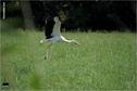 Dateiname=Saengeliweiher_68.jpg
Dateigröße=96KB
Abmessungen: 902x600
hinzugefügt am: 13. September 2015 Saengeliweiher_68.jpg