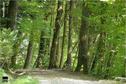 Dateiname=Saengeliweiher_70.jpg
Dateigröße=209KB
Abmessungen: 902x600
hinzugefügt am: 13. September 2015 Saengeliweiher_70.jpg