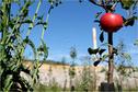 Dateiname=Steinbruch__006.jpg
Dateigröße=115KB
Abmessungen: 899x600
hinzugefügt am: 06. Oktober 2015 Steinbruch__006.jpg