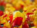 Dateiname=spring15_026.jpg
Dateigröße=57KB
Abmessungen: 799x600
hinzugefügt am: 18. Mai 2015 spring15_026.jpg