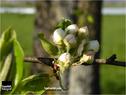Dateiname=spring15_051.jpg
Dateigröße=65KB
Abmessungen: 799x600
hinzugefügt am: 18. Mai 2015 spring15_051.jpg