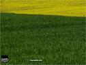 Dateiname=spring15_153.jpg
Dateigröße=141KB
Abmessungen: 799x600
hinzugefügt am: 18. Mai 2015 spring15_153.jpg