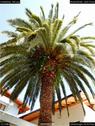 Dateiname=HotelIdeal_082.jpg
Dateigröße=210KB
Abmessungen: 676x900
hinzugefügt am: 07. Januar 2017 HotelIdeal_082.jpg