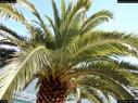 Dateiname=HotelIdeal_139.jpg
Dateigröße=382KB
Abmessungen: 1199x900
hinzugefügt am: 07. Januar 2017 HotelIdeal_139.jpg