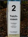Dateiname=KunstwegEmme_011.jpg
Dateigröße=98KB
Abmessungen: 676x900
hinzugefügt am: 13. September 2016 KunstwegEmme_011.jpg