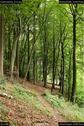 Dateiname=Externsteine_012.jpg
Dateigröße=250KB
Abmessungen: 601x900
hinzugefügt am: 28. Oktober 2016 Externsteine_012.jpg