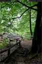 Dateiname=Externsteine_020.jpg
Dateigröße=225KB
Abmessungen: 601x900
hinzugefügt am: 28. Oktober 2016 Externsteine_020.jpg