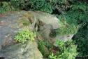 Dateiname=Externsteine_022.jpg
Dateigröße=514KB
Abmessungen: 1349x900
hinzugefügt am: 28. Oktober 2016 Externsteine_022.jpg