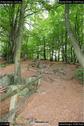Dateiname=Externsteine_024.jpg
Dateigröße=232KB
Abmessungen: 601x900
hinzugefügt am: 28. Oktober 2016 Externsteine_024.jpg