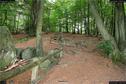 Dateiname=Externsteine_025.jpg
Dateigröße=533KB
Abmessungen: 1349x900
hinzugefügt am: 28. Oktober 2016 Externsteine_025.jpg