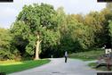 Dateiname=Externsteine_043.jpg
Dateigröße=472KB
Abmessungen: 1349x900
hinzugefügt am: 28. Oktober 2016 Externsteine_043.jpg