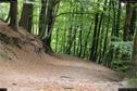 Dateiname=Externsteine_092.jpg
Dateigröße=490KB
Abmessungen: 1349x900
hinzugefügt am: 28. Oktober 2016 Externsteine_092.jpg