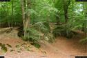 Dateiname=Externsteine_096.jpg
Dateigröße=444KB
Abmessungen: 1349x900
hinzugefügt am: 28. Oktober 2016 Externsteine_096.jpg