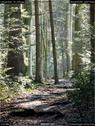 Dateiname=Langenthal_16_004.jpg
Dateigröße=242KB
Abmessungen: 676x900
hinzugefügt am: 13. November 2016 Langenthal_16_004.jpg