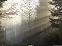 Dateiname=16_nature_149.jpg
Dateigröße=245KB
Abmessungen: 1199x900
hinzugefügt am: 07. Januar 2017 16_nature_149.jpg