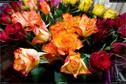 Dateiname=MelchnauMEGA17_035.jpg
Dateigröße=198KB
Abmessungen: 1354x900
hinzugefügt am: 23. April 2017 MelchnauMEGA17_035.jpg