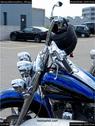 Dateiname=ManiacsMemorialRun_085.jpg
Dateigröße=148KB
Abmessungen: 676x900
hinzugefügt am: 07. Mai 2017 ManiacsMemorialRun_085.jpg