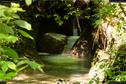Dateiname=Teufelsschlucht_015.jpg
Dateigröße=274KB
Abmessungen: 1349x900
hinzugefügt am: 10. August 2017 Teufelsschlucht_015.jpg