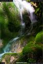 Dateiname=Teufelsschlucht_029.jpg
Dateigröße=139KB
Abmessungen: 601x900
hinzugefügt am: 10. August 2017 Teufelsschlucht_029.jpg