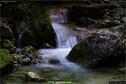 Dateiname=Teufelsschlucht_048.jpg
Dateigröße=253KB
Abmessungen: 1349x900
hinzugefügt am: 10. August 2017 Teufelsschlucht_048.jpg