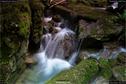 Dateiname=Teufelsschlucht_054.jpg
Dateigröße=309KB
Abmessungen: 1349x900
hinzugefügt am: 10. August 2017 Teufelsschlucht_054.jpg