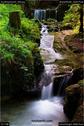 Dateiname=Teufelsschlucht_058.jpg
Dateigröße=174KB
Abmessungen: 601x900
hinzugefügt am: 10. August 2017 Teufelsschlucht_058.jpg