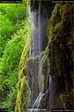 Dateiname=Teufelsschlucht_068.jpg
Dateigröße=200KB
Abmessungen: 601x900
hinzugefügt am: 10. August 2017 Teufelsschlucht_068.jpg