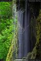 Dateiname=Teufelsschlucht_069.jpg
Dateigröße=152KB
Abmessungen: 601x900
hinzugefügt am: 10. August 2017 Teufelsschlucht_069.jpg