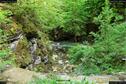 Dateiname=Teufelsschlucht_071.jpg
Dateigröße=510KB
Abmessungen: 1349x900
hinzugefügt am: 10. August 2017 Teufelsschlucht_071.jpg