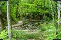 Dateiname=Teufelsschlucht_072.jpg
Dateigröße=494KB
Abmessungen: 1349x900
hinzugefügt am: 10. August 2017 Teufelsschlucht_072.jpg