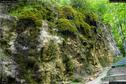 Dateiname=Teufelsschlucht_076.jpg
Dateigröße=536KB
Abmessungen: 1349x900
hinzugefügt am: 10. August 2017 Teufelsschlucht_076.jpg