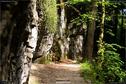 Dateiname=Teufelsschlucht_079.jpg
Dateigröße=407KB
Abmessungen: 1349x900
hinzugefügt am: 10. August 2017 Teufelsschlucht_079.jpg