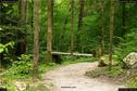 Dateiname=Teufelsschlucht_084.jpg
Dateigröße=470KB
Abmessungen: 1349x900
hinzugefügt am: 10. August 2017 Teufelsschlucht_084.jpg