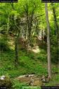 Dateiname=Teufelsschlucht_085.jpg
Dateigröße=268KB
Abmessungen: 601x900
hinzugefügt am: 10. August 2017 Teufelsschlucht_085.jpg