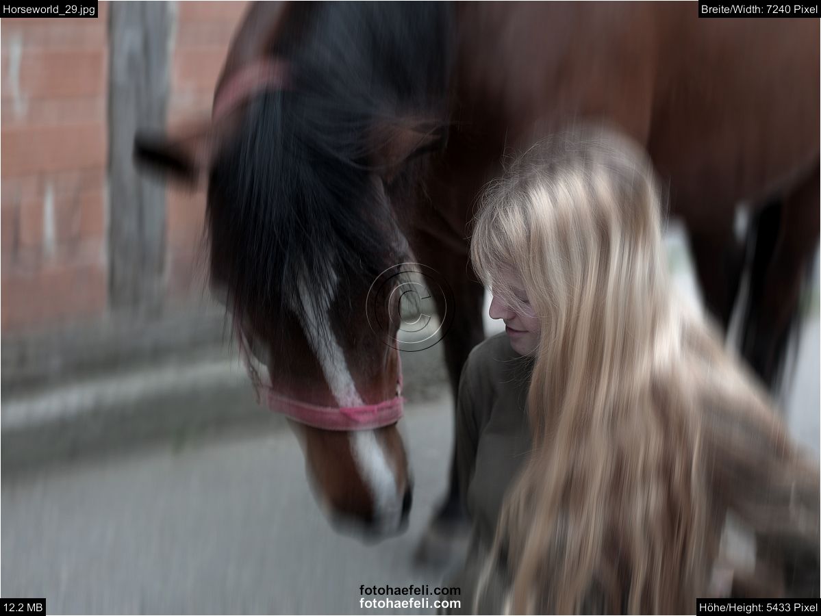 Horseworld_29.jpg