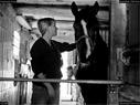 Dateiname=Horseworld_04.jpg
Dateigröße=184KB
Abmessungen: 1199x900
hinzugefügt am: 08. Oktober 2017 Horseworld_04.jpg