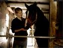 Dateiname=Horseworld_05.jpg
Dateigröße=158KB
Abmessungen: 1198x900
hinzugefügt am: 08. Oktober 2017 Horseworld_05.jpg