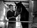 Dateiname=Horseworld_06.jpg
Dateigröße=199KB
Abmessungen: 1199x900
hinzugefügt am: 08. Oktober 2017 Horseworld_06.jpg
