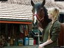Dateiname=Horseworld_16.jpg
Dateigröße=187KB
Abmessungen: 1199x900
hinzugefügt am: 08. Oktober 2017 Horseworld_16.jpg