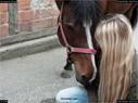 Dateiname=Horseworld_28.jpg
Dateigröße=183KB
Abmessungen: 1199x900
hinzugefügt am: 08. Oktober 2017 Horseworld_28.jpg