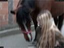 Dateiname=Horseworld_29.jpg
Dateigröße=97KB
Abmessungen: 1199x900
hinzugefügt am: 08. Oktober 2017 Horseworld_29.jpg