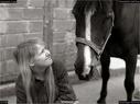 Dateiname=Horseworld_31.jpg
Dateigröße=146KB
Abmessungen: 1199x900
hinzugefügt am: 08. Oktober 2017 Horseworld_31.jpg