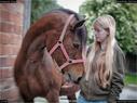 Dateiname=Horseworld_35.jpg
Dateigröße=132KB
Abmessungen: 1199x900
hinzugefügt am: 08. Oktober 2017 Horseworld_35.jpg