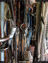 Dateiname=Horseworld_47.jpg
Dateigröße=177KB
Abmessungen: 676x900
hinzugefügt am: 08. Oktober 2017 Horseworld_47.jpg