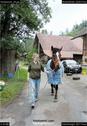 Dateiname=Horseworld_49.jpg
Dateigröße=183KB
Abmessungen: 619x900
hinzugefügt am: 08. Oktober 2017 Horseworld_49.jpg