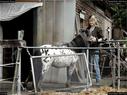 Dateiname=Horseworld_66.jpg
Dateigröße=281KB
Abmessungen: 1199x900
hinzugefügt am: 08. Oktober 2017 Horseworld_66.jpg