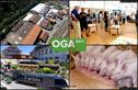 Dateiname=Langnau_Oga_001.jpg
Dateigröße=384KB
Abmessungen: 1383x900
hinzugefügt am: 19. Juni 2017 Langnau_Oga_001.jpg